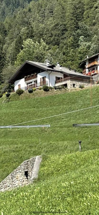 Villetta Sulle Dolomiti Pracorno di Rabbi Exteriör bild
